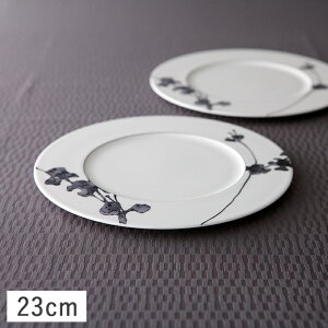 yN[|zzzi~ OCXt[ ~[gM 23cm mg[ //M  M CfBbV v[g ԕ C Ȃ i~{[`Ci  fG ꂢ 