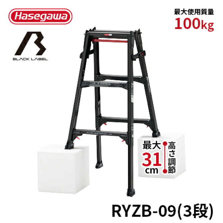 楽天市場】【RYZB-09】長谷川工業 ハセガワ hasegawa はしご兼用伸縮 