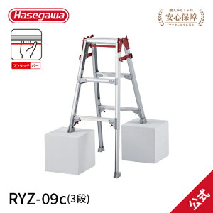 ��S�iP5�{�⁚�p�Օi�� ���J��H�� �n�Z�K�� hasegawa �͂������p�L�k�r�� �L�k�r�� �r�� �r���L�k�� �����^�b�`�o�[ 3�� 3�i RYZ-09c