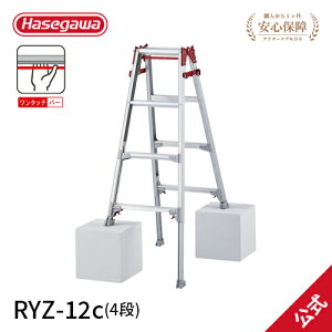 pՕi JH nZK hasegawa ͂pLkr Lkr r rLk ^b`o[ 4 4i RYZ-12c