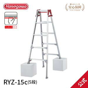 ��S�iP5�{�⁚�p�Օi�� ���J��H�� �n�Z�K�� hasegawa �͂������p�L�k�r�� �L�k�r�� �r�� �r���L�k�� �����^�b�`�o�[ 5�� 5�i RYZ-15c