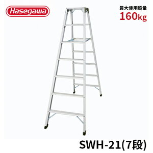 ySWH-21zJH nZK hasegawa pr ͌^r VL^Cv L݂ A~ őgp160kg 7i 7
