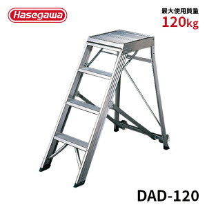 yDAD-120zJH nZK hasegawa ܂肽ݎƑ gsv 4i wʃLX^[t