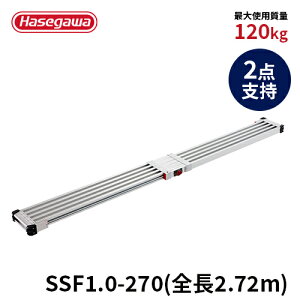 ySSF1.0-270zJH nZK hasegawa XmR Lk Ch A~ 2_x