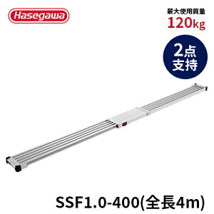 ySSF1.0-400zJH nZK hasegawa XmR Lk Ch A~ 2_x
