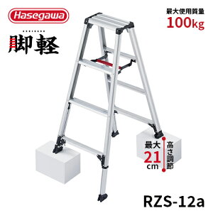 yRZS-12azJH nZK hasegawa Lkr ry  pr 4 4i y JISK ^b` A~r ܂ ݑ i Ki ^  2020Nf