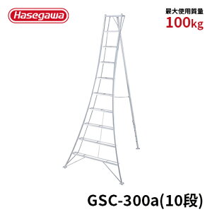 y GSC-300a z|pOr A~Or Or 10 10i O[Xebv JH nZK | A~ Lk ͂ y ߋt  |pi K[fjO  ؙ | K[