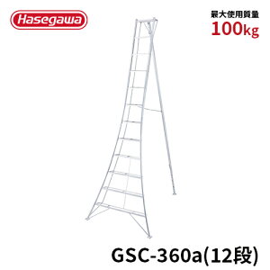y GSC-360a z|pOr A~Or Or 12 12i O[Xebv JH nZK | A~ Lk ͂ y ߋt  |pi K[fjO  ؙ | K[