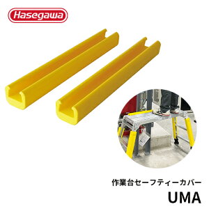 yUMAzJH nZK hasegawa UMAO E}I ƑpZ[teB[Jo[ ی h~ n ԑ