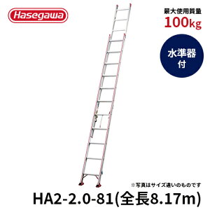 pՕi JH nZK hasegawa ͂ 2A͂ ^͂ A~͂ fUC  HA2-2.0-81