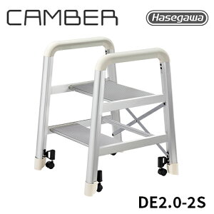 yDE2.0-2SzJH nZK hasegawa  r ~ Ki ݑ fUC 2i LX^[ RX^WI Lo[ CAMBER