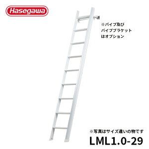 yLML1.0-29zJH nZK hasegawa tg͂ J[m_[2.9m LML1.0-29 HasegawaqfUCiFfUC2015