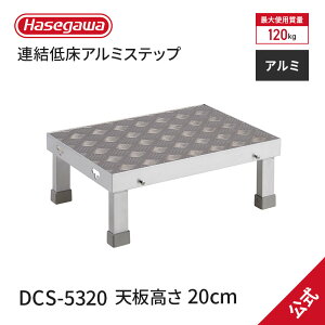 y DCS-5320 zƑ AᏰA~Xebv 1i V0.20m V@ W50×D35cm JH nZK Hasegawa A n H qɓ ~ A\