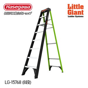 ��S�iP5�{��y LG-15768 �zFRP�r�� �r�� �G�[�t�H�[�X250 8�i ���g���W���C�A���g littlegiant ���J��H�� �n�Z�K�� �y�� ������ �X�e�b�v���L �}�O�l�b�g�t�� ���@�\