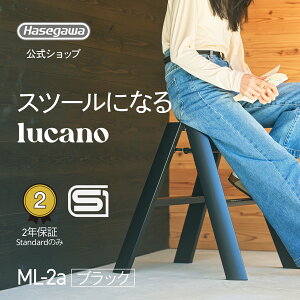 ���ݑ� ���� �r�� lucano ���J�[�m �C���e���A �X�c�[�� �����^ ���J��H�� 2step 2�i �u���b�N black �� �X�ܔ��i �X�� �Y�� ���~�� �Ƌ� �܂肽���� �O�b�h�f�U�C���� ������� �k�� �f�U�C�� ��