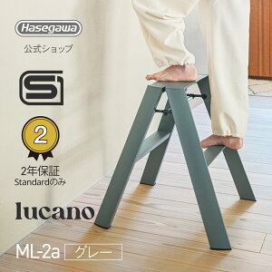 ���ݑ� ���� �r�� lucano ���J�[�m �C���e���A �X�c�[�� �����^ ���J��H�� 2step 2�i �O���[ gray �D�F �X�ܔ��i �X�� �Y�� ���~�� �Ƌ� �܂肽���� �O�b�h�f�U�C���� ������� �k�� �f�U�C�� ���j