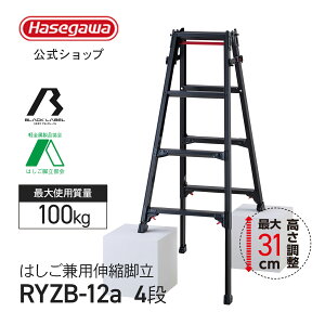 y RYZB-12a z͂pLkr r Lkr 4i 4  ubN ^b`o[ BLACK LABEL ubN[x A~  H Lkr Lk JH nZK