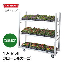 楽天市場】フローラルカーゴの通販