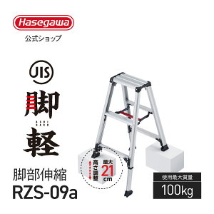 �y RZS-09a �z���J��H�� �n�Z�K�� hasegawa �L�k�r�� �r�y ��p�r�� 3�� 3�i �y�� JIS�K�� �����^�b�` �A���~�r�� �܂��� ���ݑ� �i�� �K�i �����^��