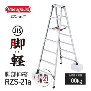 �y RZS-21a �z���J��H�� �n�Z�K�� hasegawa �L�k�r�� �r�y ��p�r�� 7�� 7�i �y�� JIS�K�� �����^�b�` �A���~�r�� �܂��� ���ݑ� �i�� �K�i �����^��
