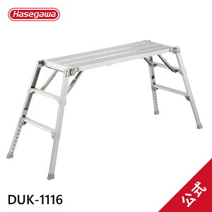 yDUK-1116zJH nZK hasegawa Ƒ f[N rLk ܂肽ݎ ݍHƉFi