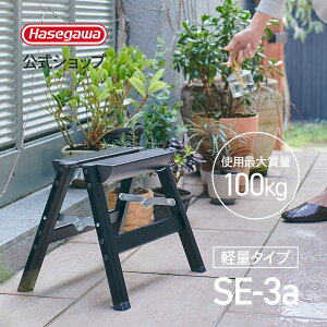 ���ݑ� ���� �y�ʃ^�C�v ���J��H�� �n�Z�K�� hasegawa �u���b�N �� 30cm ������� �܂��� �X�e�b�v��@1�i �B�e ���w�� ���|�� �y SE-3a(BK) �z