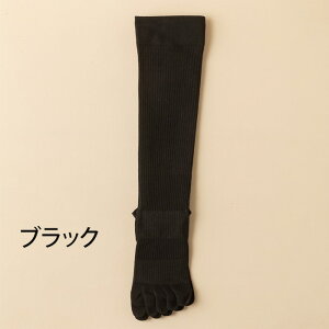 nC\bNX C n 5{w fB[X Vv F2Zbg