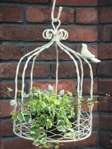 K[fjO K[f G݁wACAo[hK[{EAeB[NzCgx