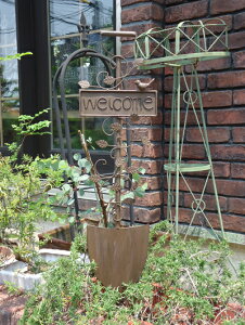 K[fjO K[f G݁wwelcome K[fVxx