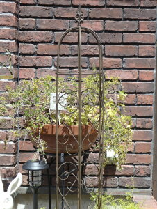 ACA K[fjO K[f G AeB[NwK[fIIxXNELx