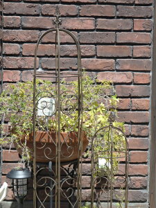 ACA K[fjO K[f G AeB[NwK[fIIxXN2Ix