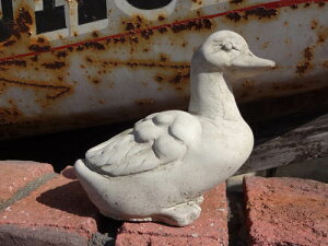 K[fjO K[f _bN o[h Aj} CObV p G Xg[yԗVсz wEnglish Small Duckx