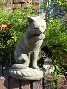 K[fjO K[f G݁wEnglish Licking Catx