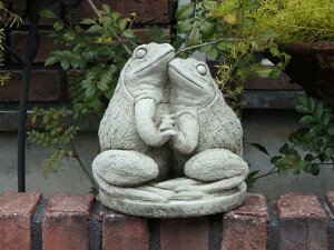 K[fjO K[f G݁wEnglish Dancing Frogx