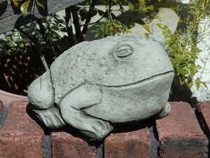 �C���O���b�V�� �K�[�f�j���O �K�[�f�� �G�݁wEnglish Bull Frog�x