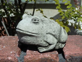 イングリッシュ ガーデニング ガーデン 雑貨『English Bull Frog・S』