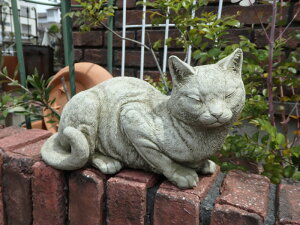 K[fjO K[f G݁wEnglish Snoozing Catx