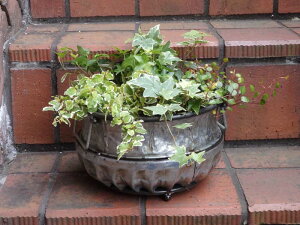 コンテナ 寄せ植え 生花の人気商品 通販 価格比較 価格 Com