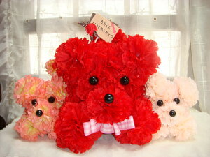 ̓ Mtg  t[ G K[fjO K[fyԗVсzwhappyv[ht@~[Ebhx