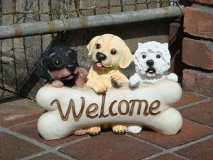 G K[fjO K[fwDOG{[welcomex