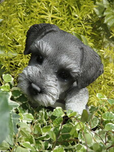 K[fjO K[f  Aj} nMO G wnMOIhbOEViEU[x