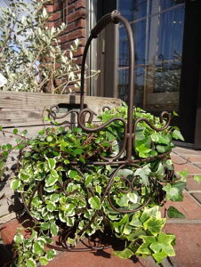 ガーデニングガーデン 雑貨 アンティーク『アンティーク風!アイアンバスケット』