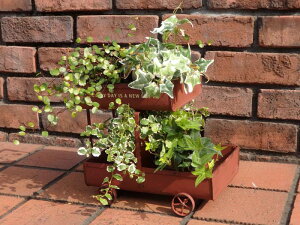 K[fjO K[f G CeA AeB[NwbhXebvJ[gv^[x