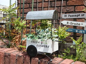 K[fjO K[f G݁wK[ft[Sx