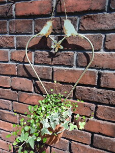 AeB[N G ACA K[fjO K[fwAeB[NIuo[hnOx