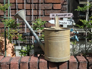 ガーデニング ガーデン アンティーク 雑貨『アンティーク♪ジョーロ・D』