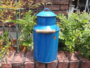 xA[ AeB[N G ACA K[fjO K[fwAeB[N~Nʁx