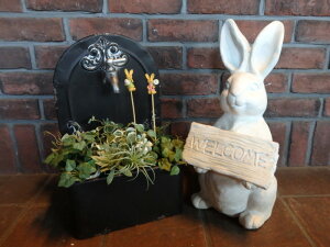 K[fZbg K[fjO K[f G݁wK[fZbgEGJrbgx