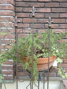 ACA K[fjO K[f G AeB[NwXeB[􃆃gXE2{Zbgx