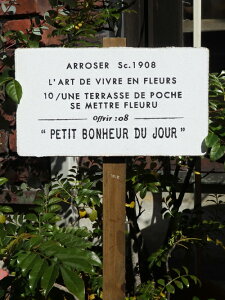 tFX G K[fjO K[f AeB[NwzCg VOi Ebh{[hx